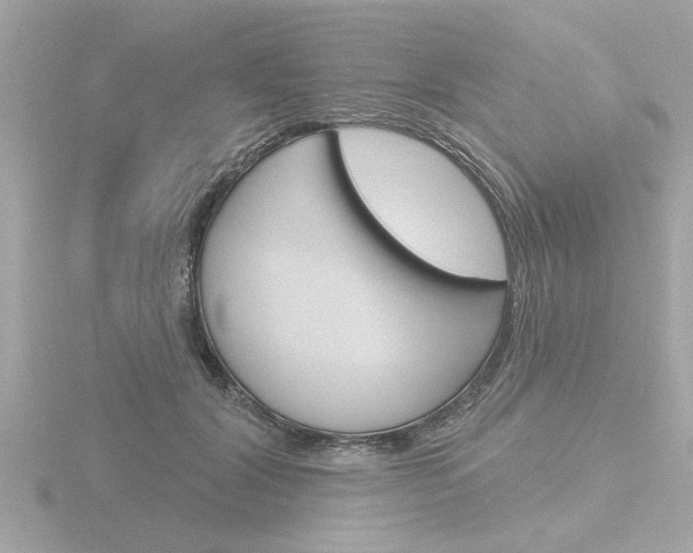X0000116850604200912211106