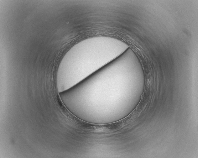 X0000116850605200912211106