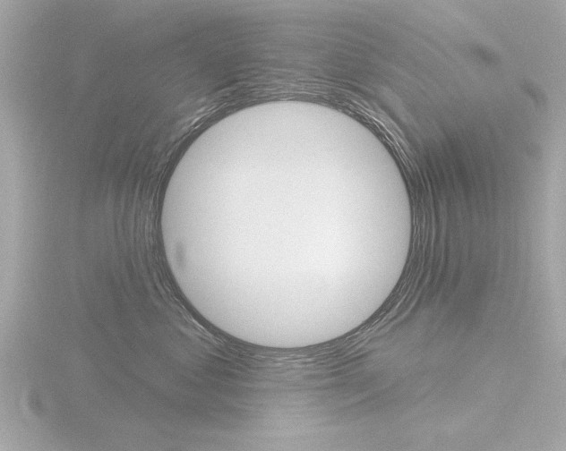 X0000116850621200912211105