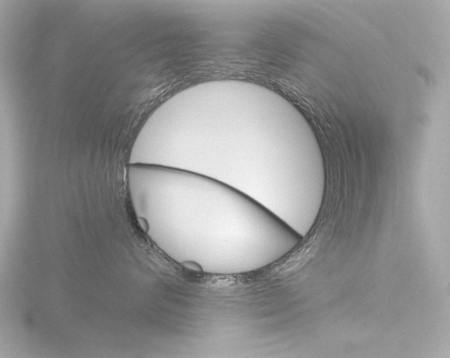 X0000116850624200912211105