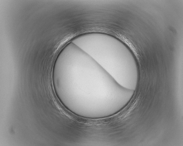 X0000116850625200912211104
