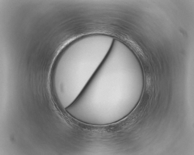 X0000116850628200912211104