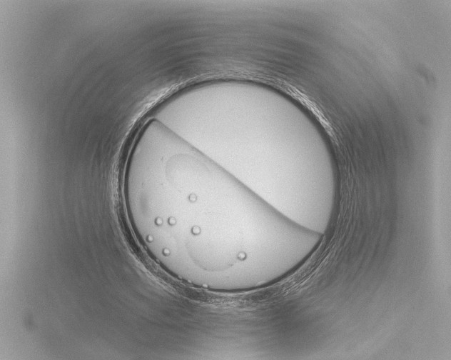 X0000116850629200912211104