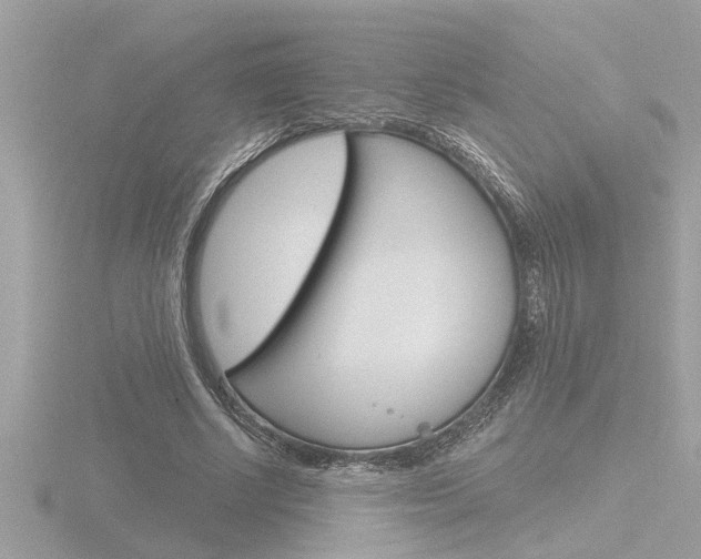 X0000116850634200912211104