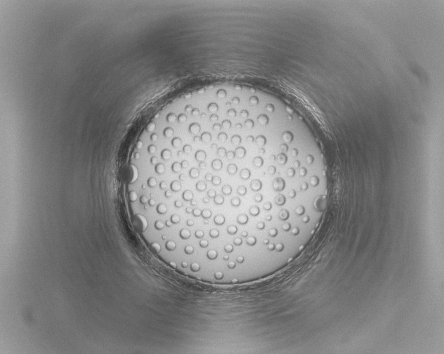 X0000116850635200912211104