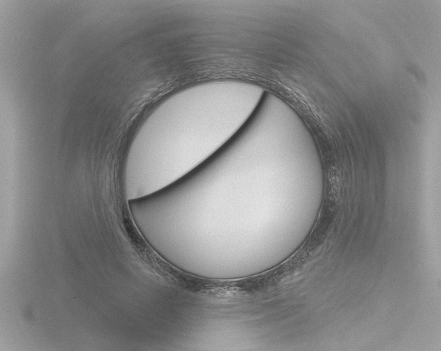 X0000116850642200912211105