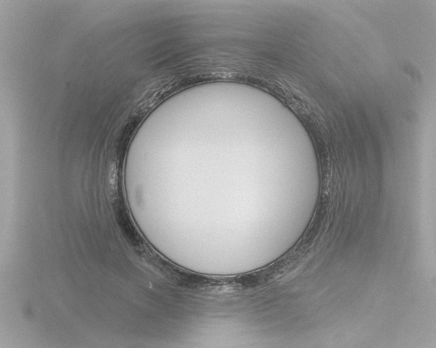 X0000116850646200912211105
