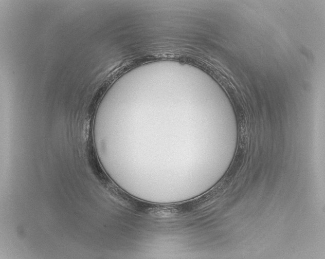 X0000116850652200912211105