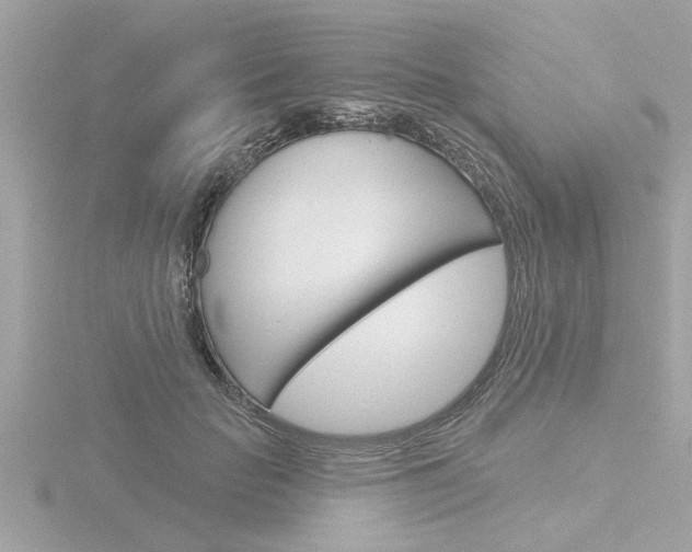 X0000116850653200912211105