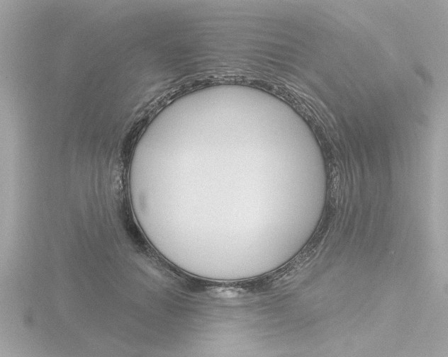 X0000116850654200912211105