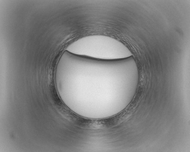 X0000116850656200912211105