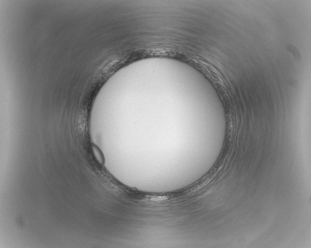 X0000116850665200912211105