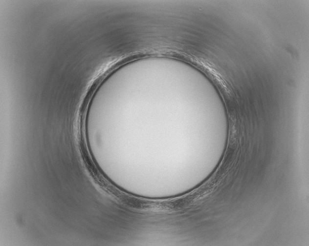 X0000116850678200912211104