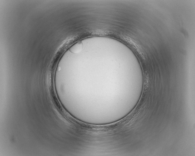 X0000116850686200912211104