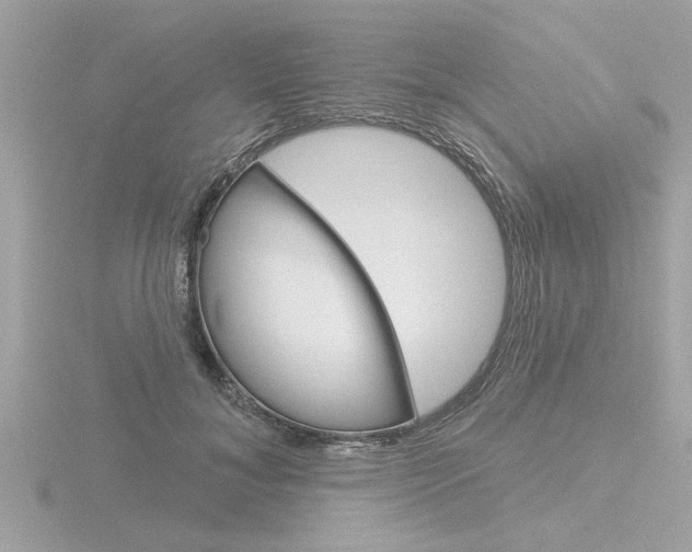 X0000116850700200912211103