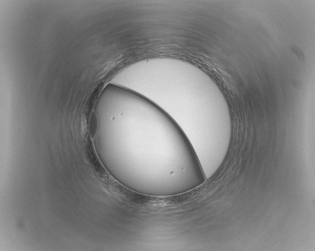 X0000116850704200912211103