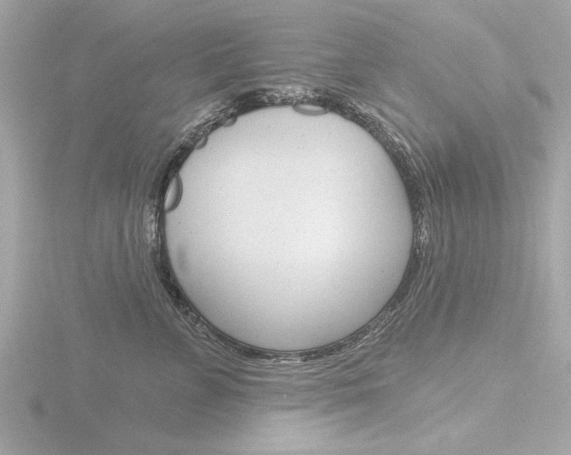 X0000116850715200912211103