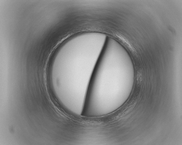X0000116850722200912211101