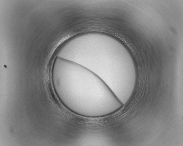 X0000116850727200912211101