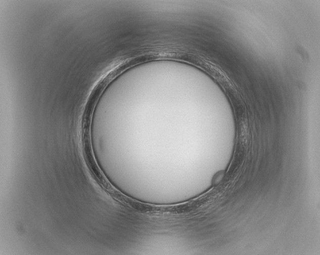 X0000116850730200912211101