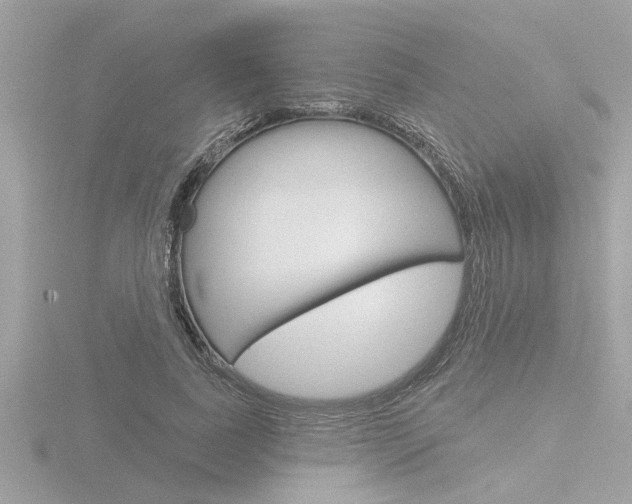 X0000116850739200912211102
