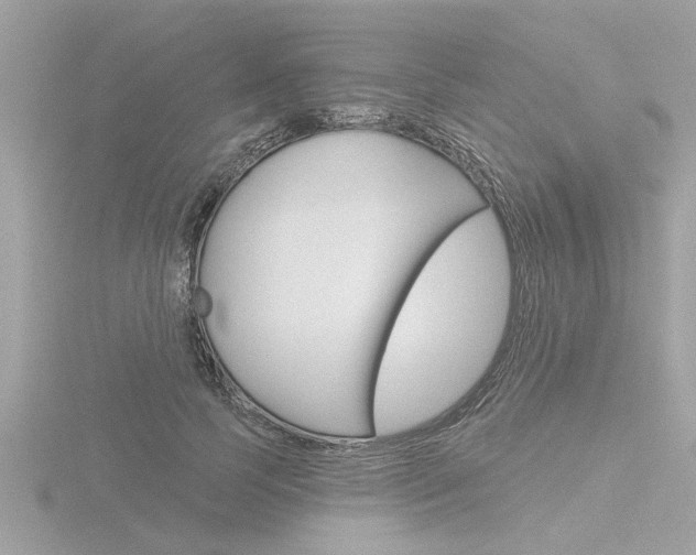 X0000116850745200912211102