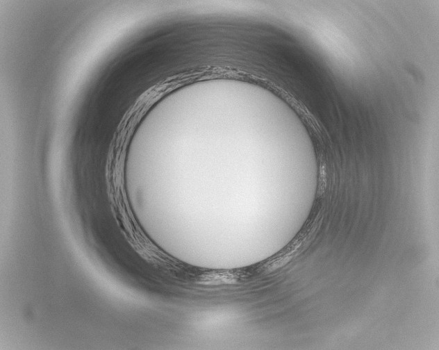 X0000116850765200912211102