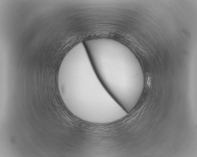X0000116850771200912211101