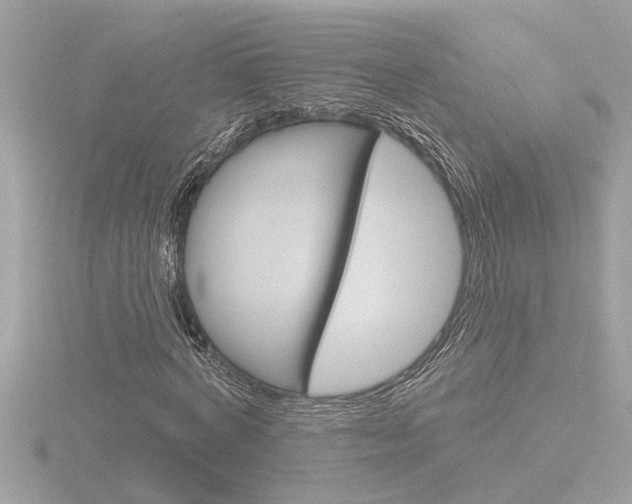 X0000116850772200912211101