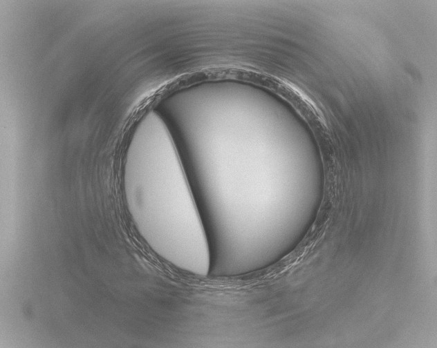 X0000116850775200912211101