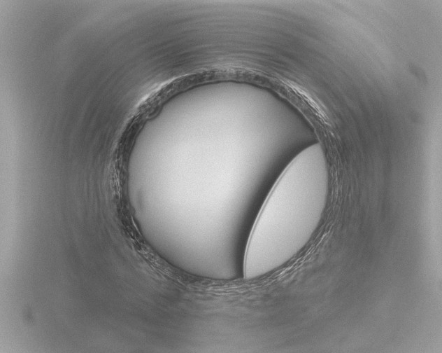X0000116850776200912211101