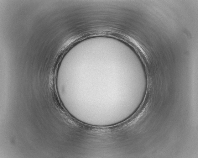 X0000116850778200912211101