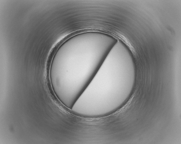 X0000116850780200912211101