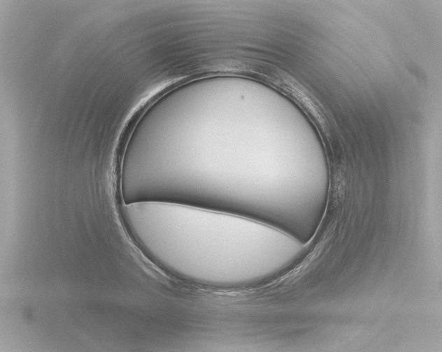 X0000116850787200912211100