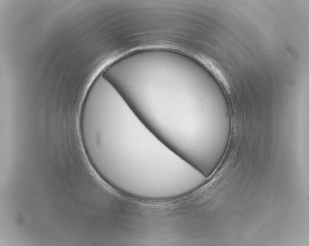 X0000116850805200912211100