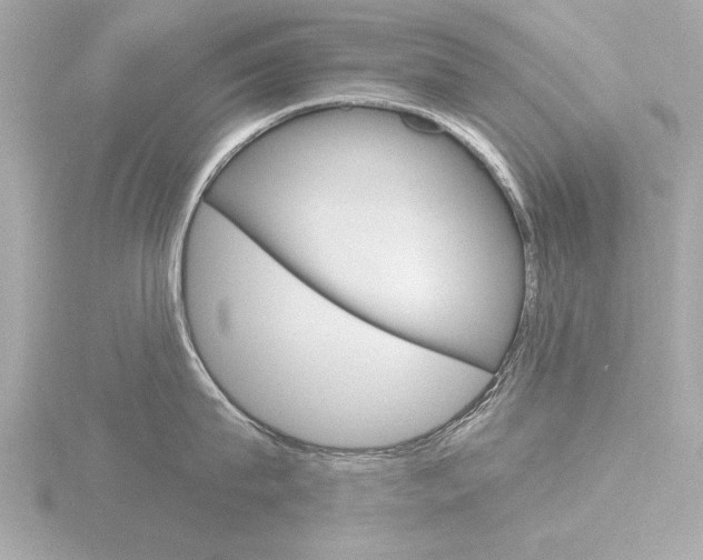 X0000116850815200912211100