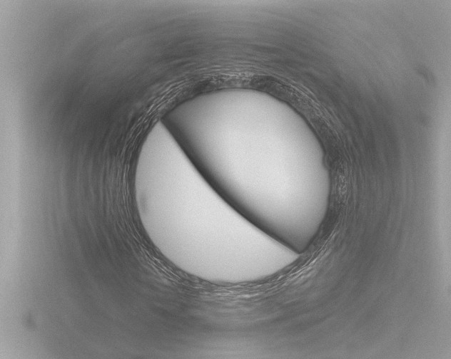X0000116850818200912211058