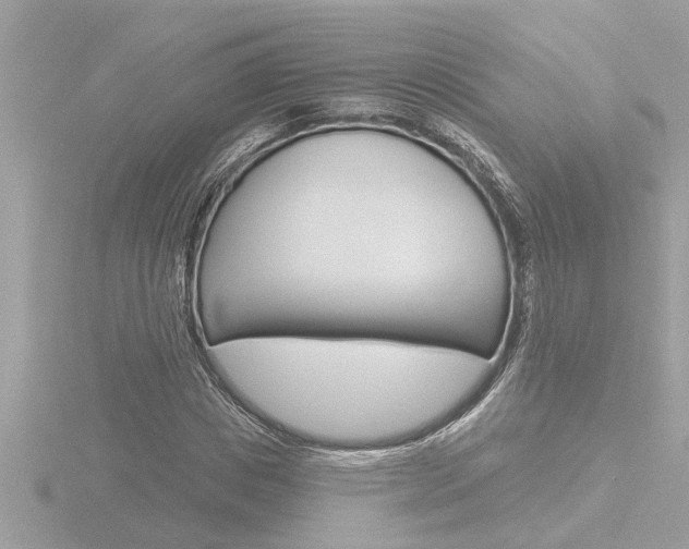 X0000116850825200912211059