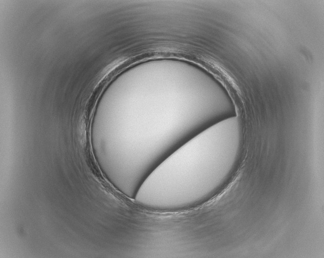 X0000116850829200912211059