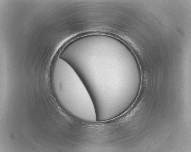 X0000116850830200912211059