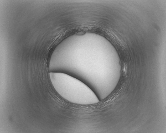 X0000116850867200912211058