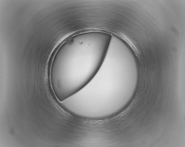X0000116850884200912211057