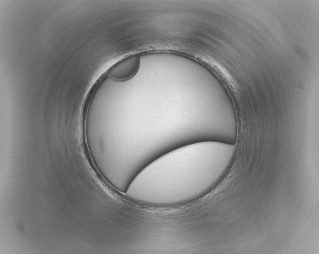 X0000116850894200912211057