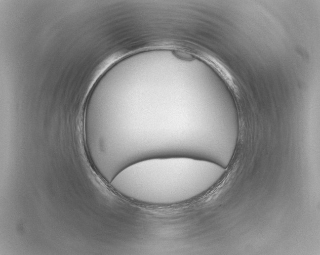 X0000116850907200912211057