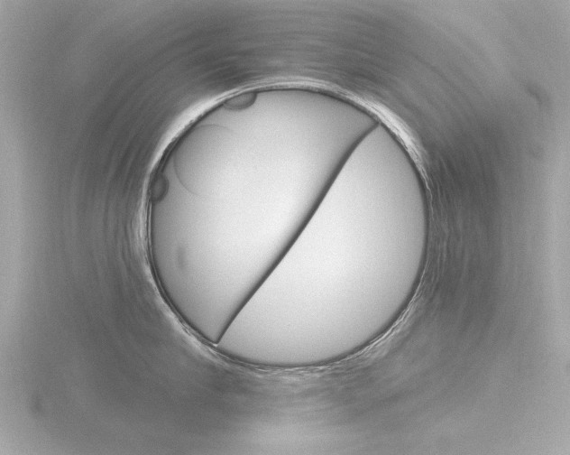 X0000116850910200912211057