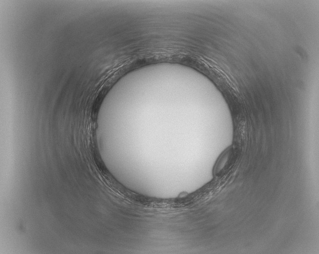 X0000116850914200912211056