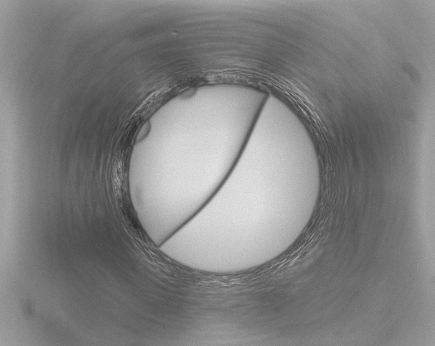 X0000116850915200912211056