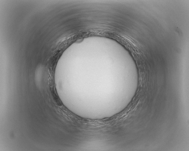 X0000116850917200912211056