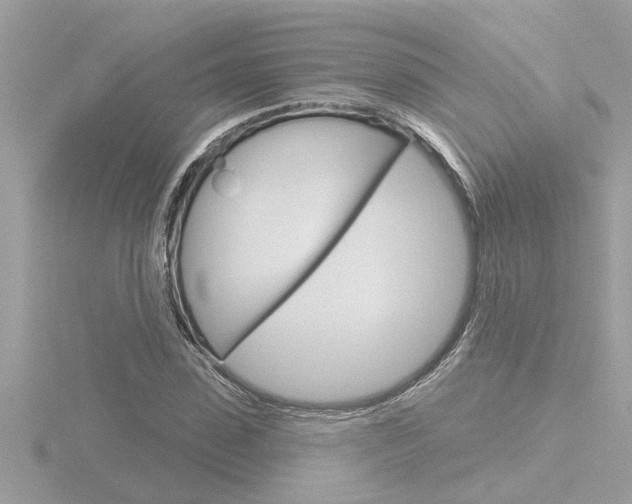 X0000116850923200912211056