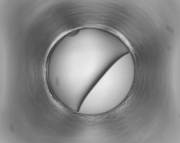 X0000116850955200912211056
